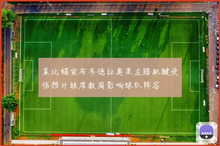 莱比锡宣布韦德拉奥果左膝肌腱受伤预计缺席数周影响球队阵容