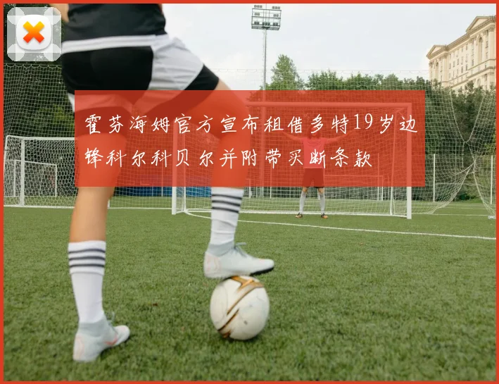 霍芬海姆官方宣布租借多特19岁边锋科尔科贝尔并附带买断条款
